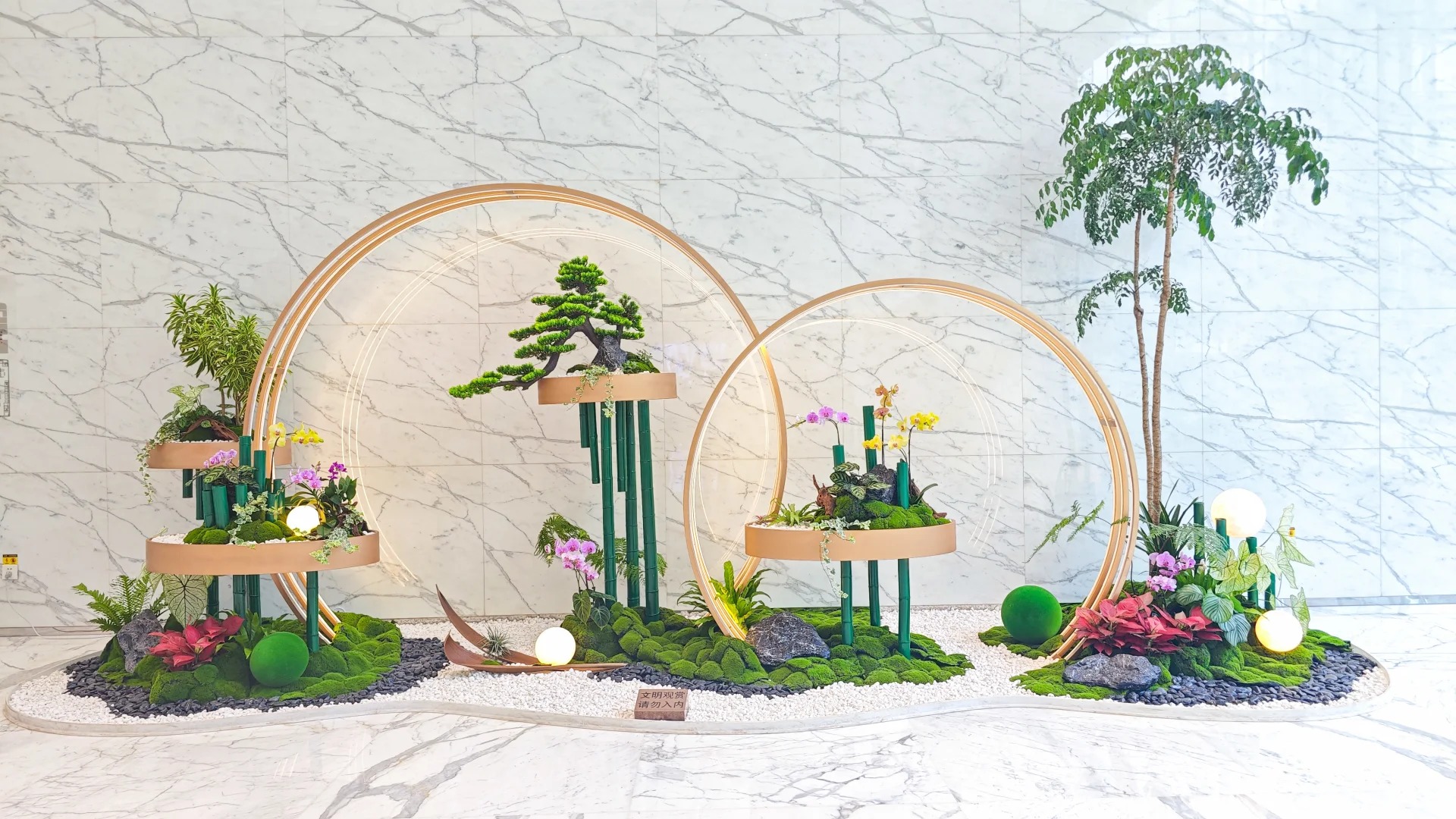 余姚植物租摆设计，营造梦幻般的绿色家园