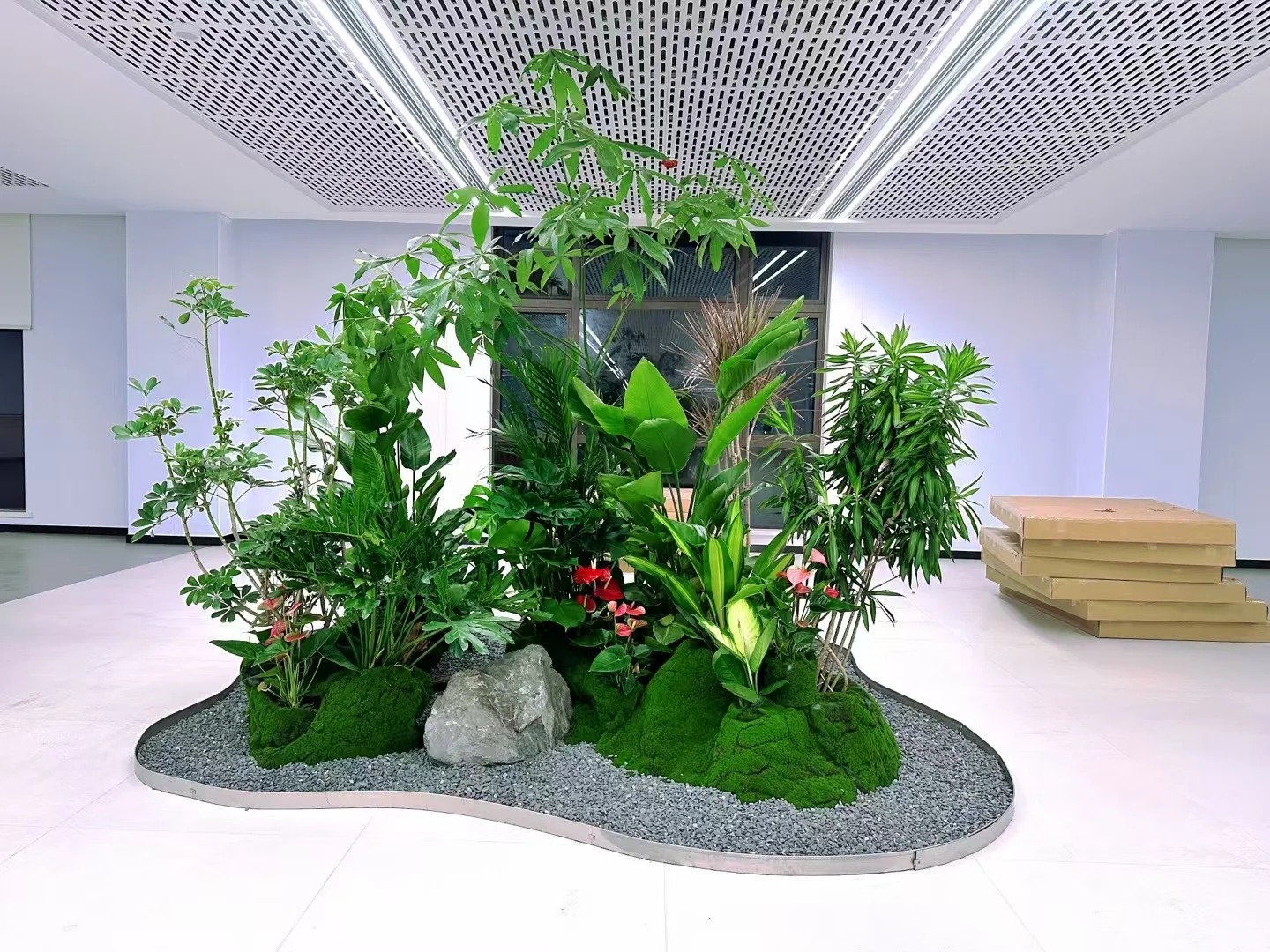 体验宁波鄞州植物租赁，优质服务等你来享！